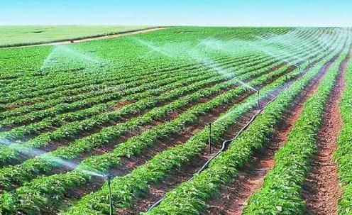 欧美鸡巴插骚逼视频农田高 效节水灌溉
